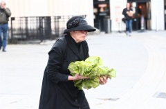 Rose plante des Salades 012 * 6000 x 4000 * (3.35MB)